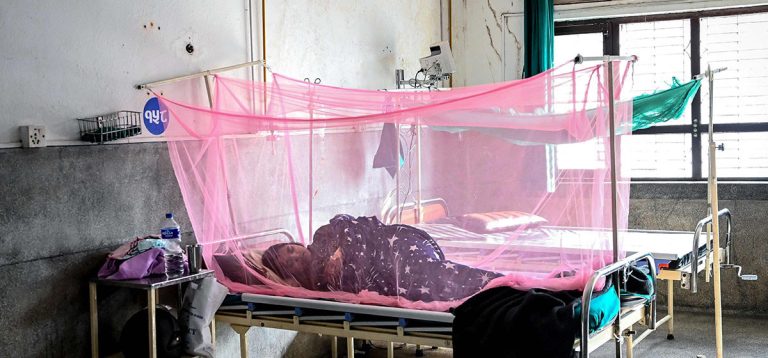 यो वर्ष ६० हजारभन्दा बढीमा डेंगु संक्रमण हुनसक्ने आकलन